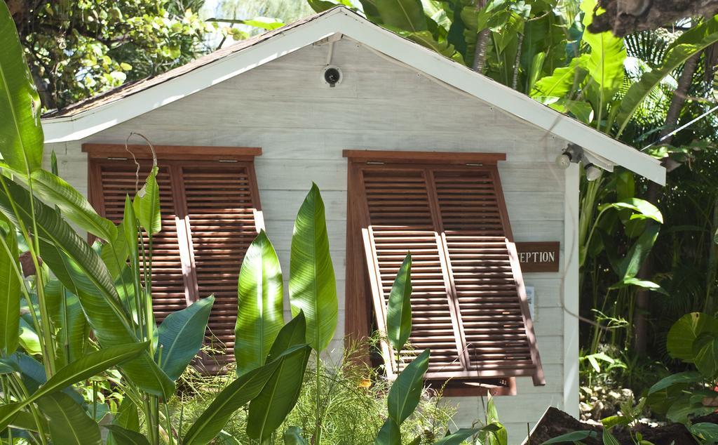 Eco Lifestyle And Lodge Bathsheba Exterior foto