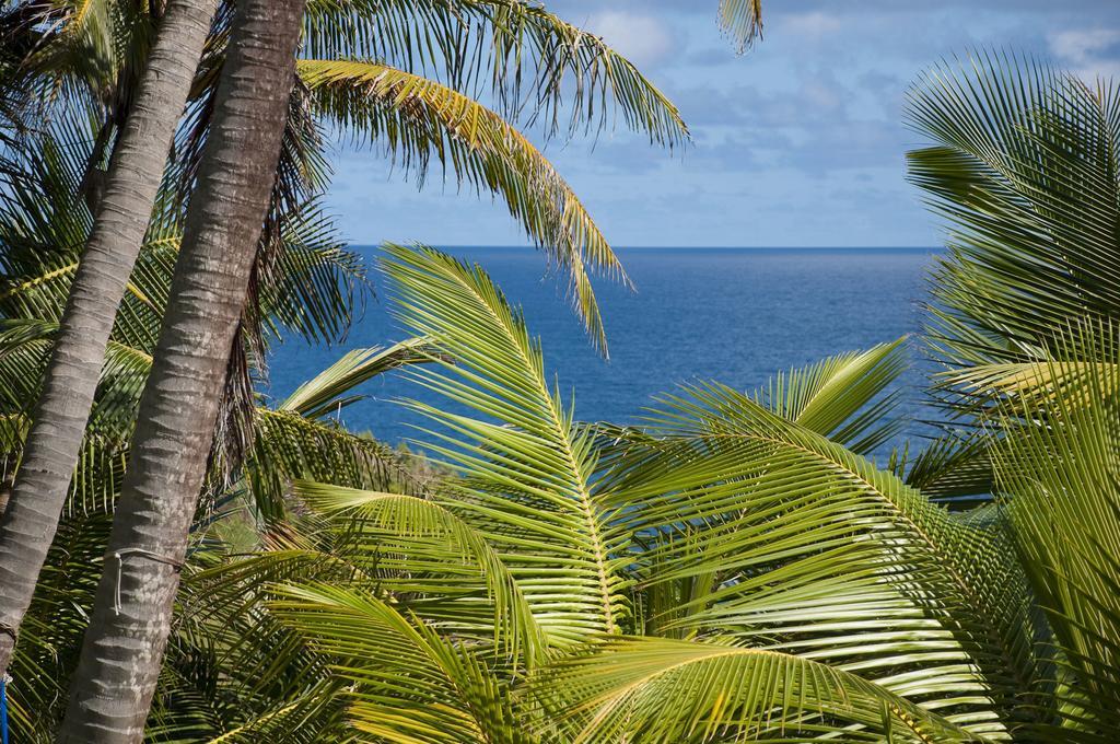 Eco Lifestyle And Lodge Bathsheba Exterior foto