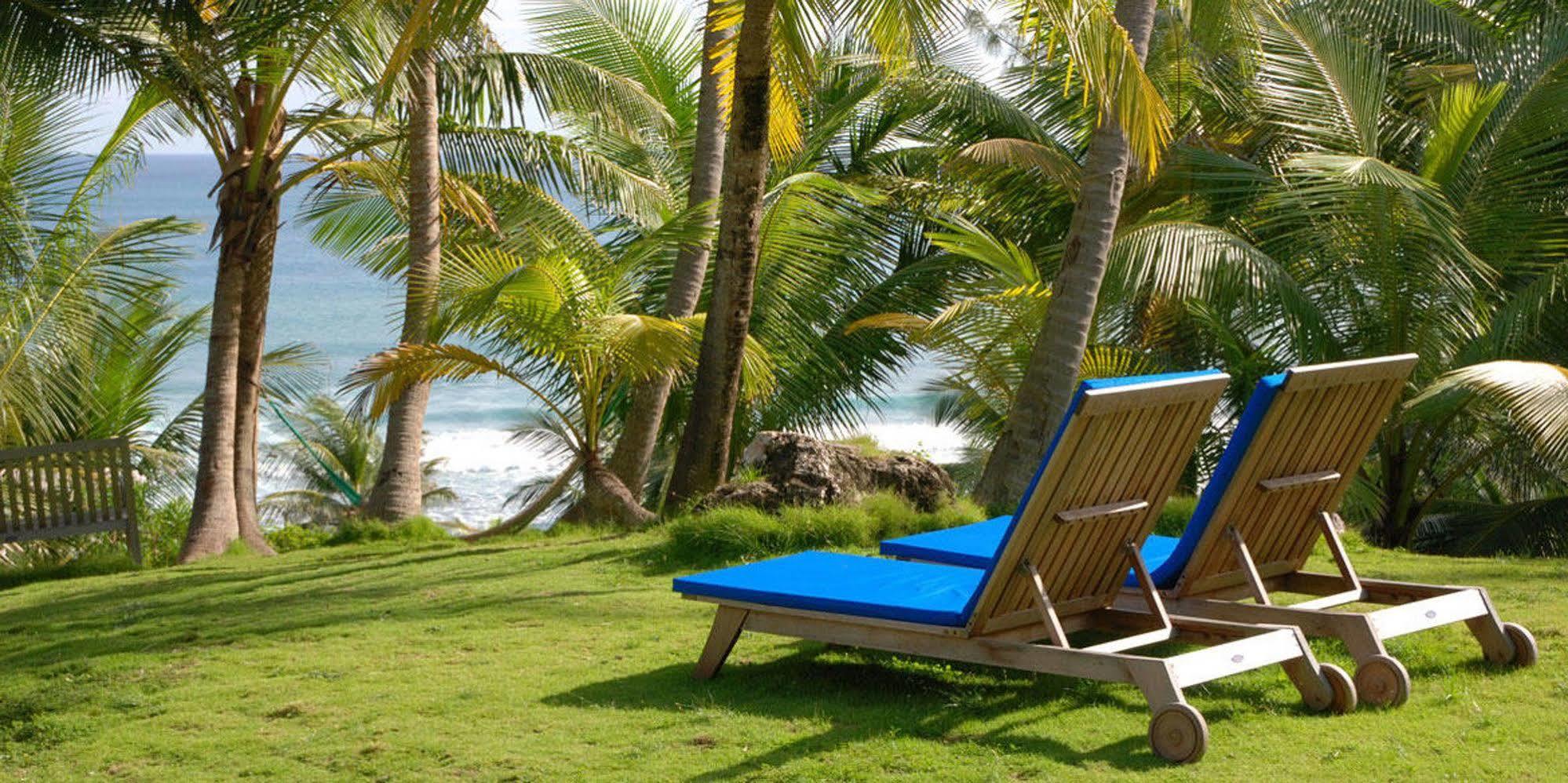 Eco Lifestyle And Lodge Bathsheba Exterior foto